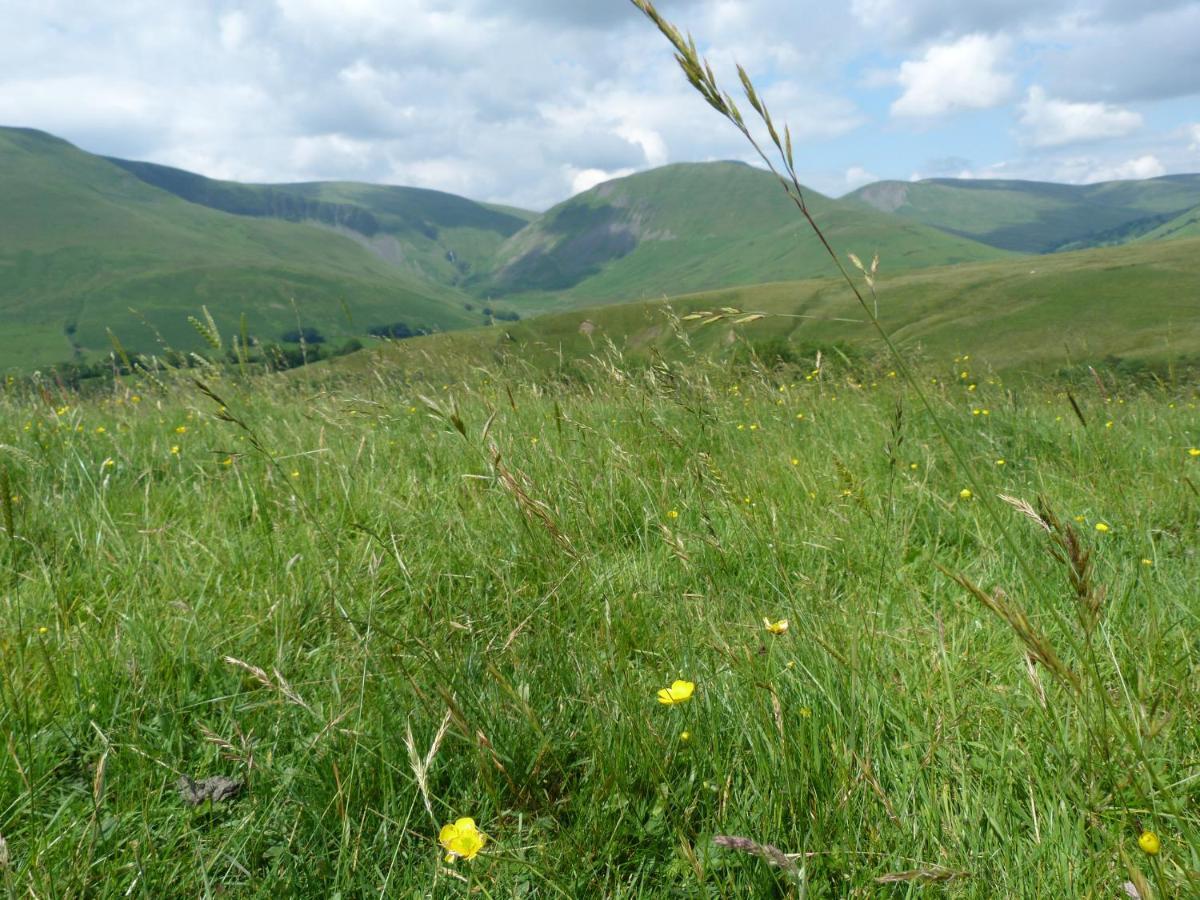 Howgill Cottage Sedbergh Bagian luar foto